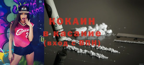 сатива Баксан
