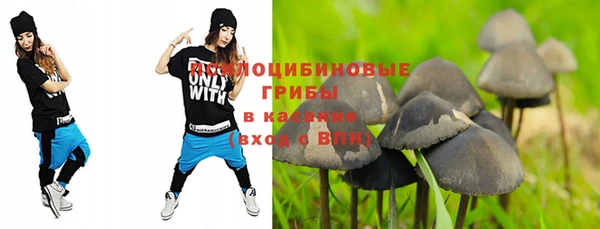 СК Бородино