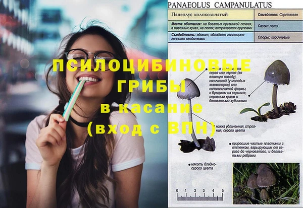 прущая мука Бугульма