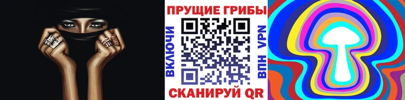 OMG ONION  Янаул  Галлюциногенные грибы ЛСД 